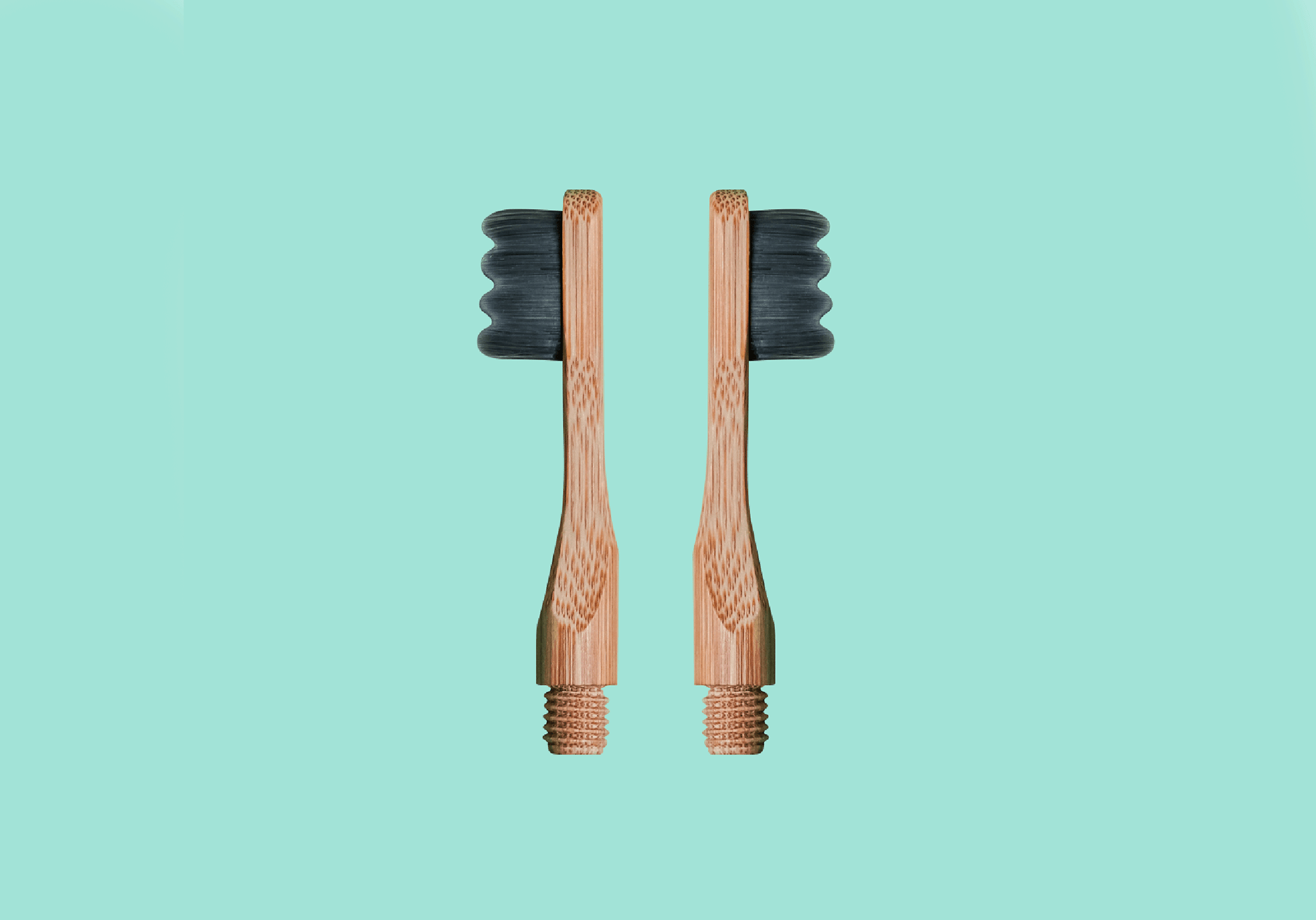 2 Bamboo Manual Toothbrush Replacement Heads